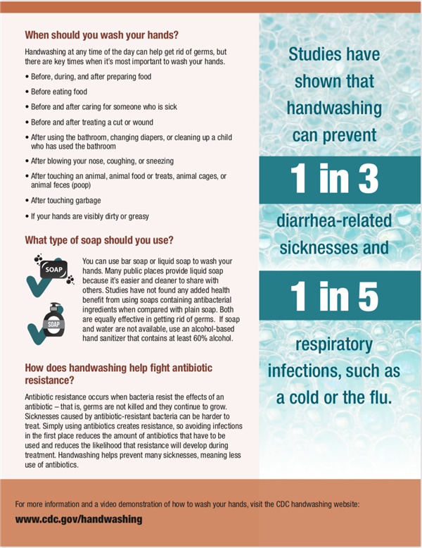 Handwashing Poster Back